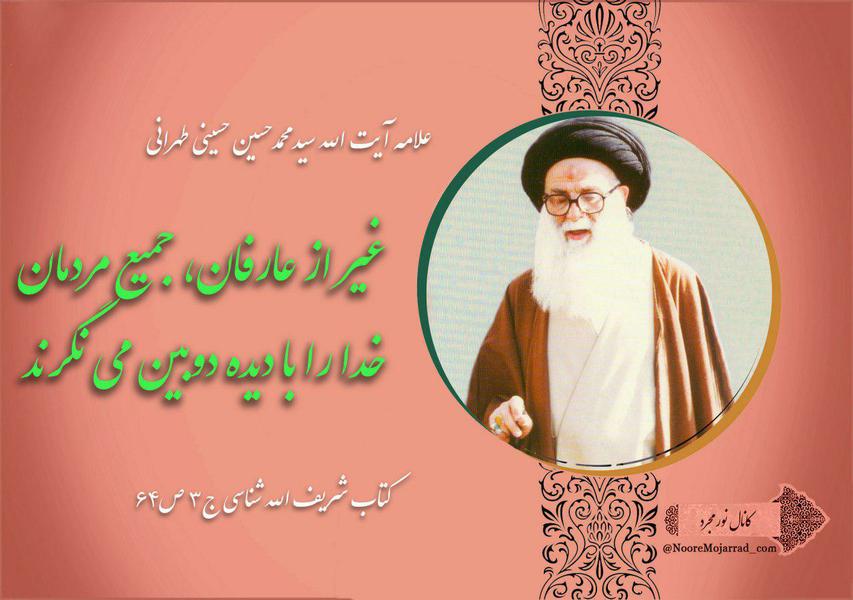 دیده دوبین